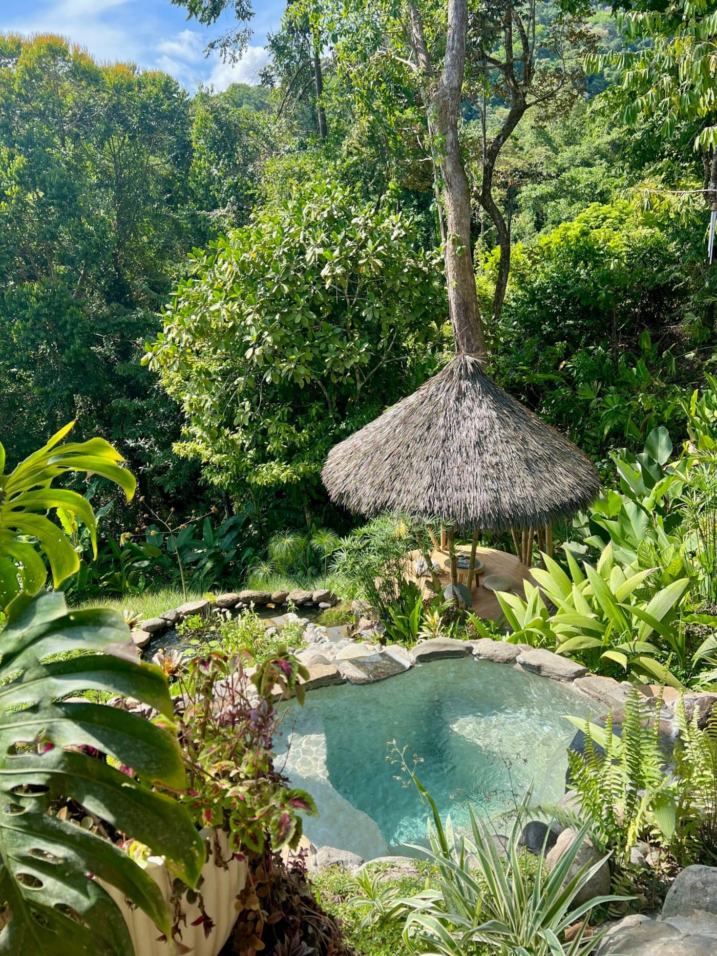Spring-water plunge and Lily Pad Pavilion at Green Door Rainforest Spa