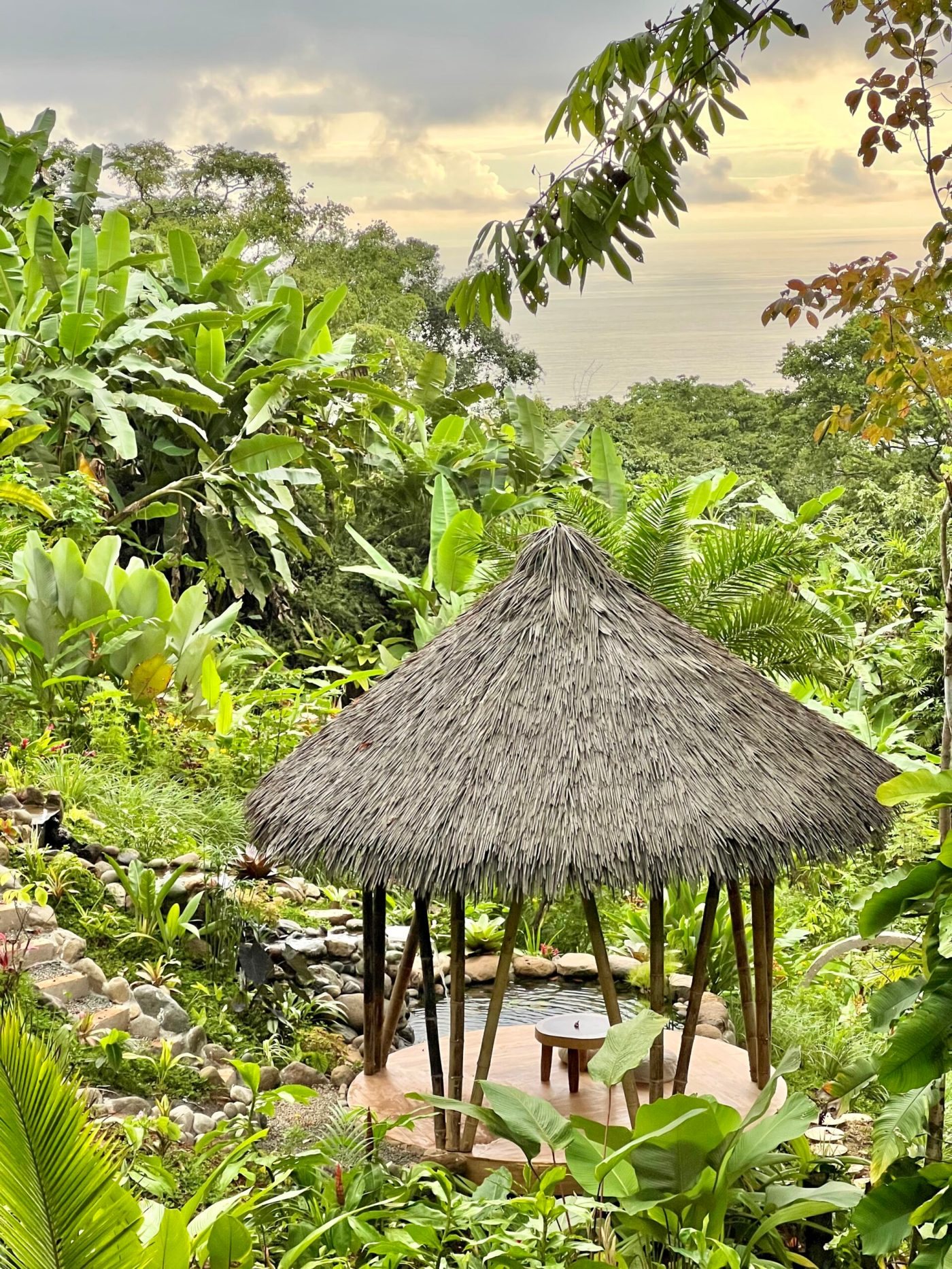 Rainforest at Wilder Sanctuary