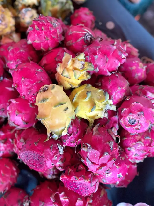 Whole-food plant-based cuisine and garden harvests