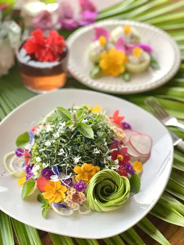 Vibrant fresh plant-based garden-to-table cuisine