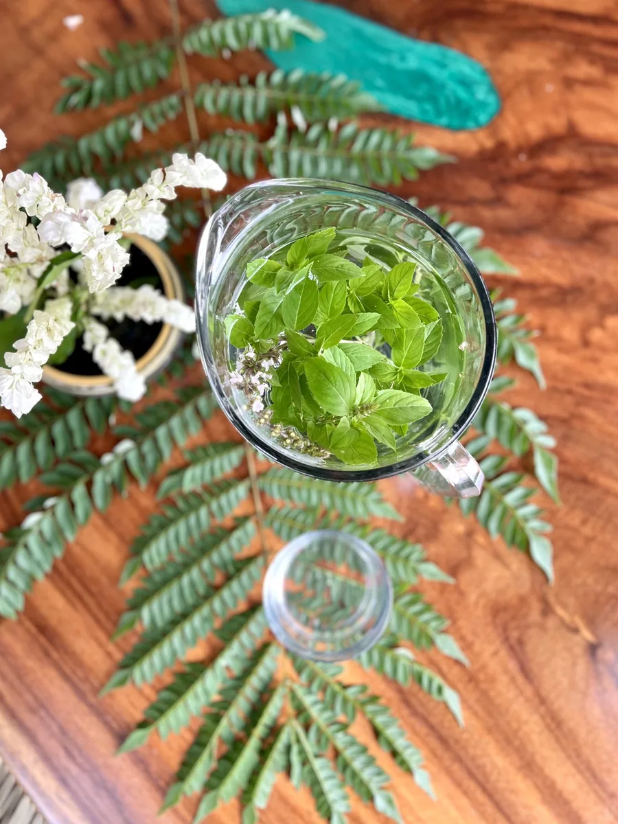 Fresh herbal infusion prepared for an herbalism class