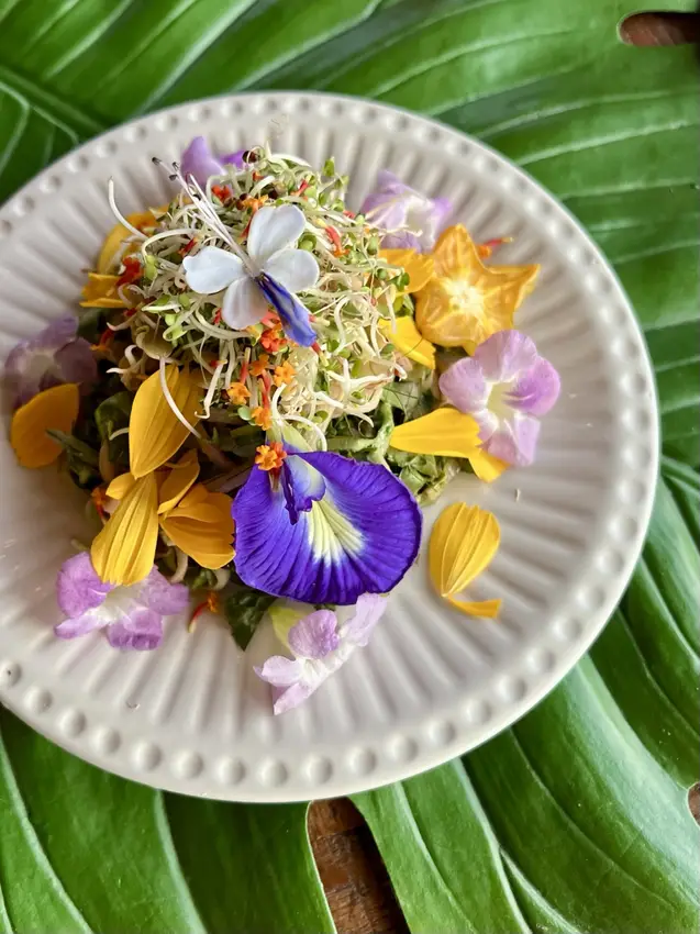 Whole-food plant-based cuisine and garden harvests