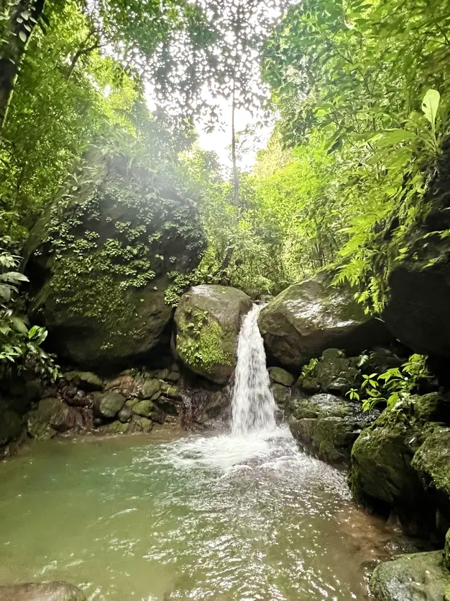 Green Door Rainforest Spa, sauna, waterfall rituals, sound healing and treatments