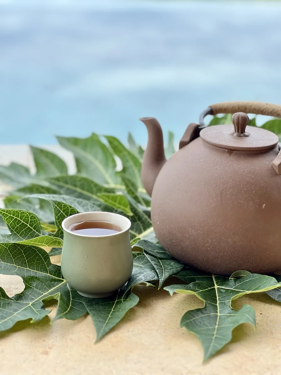 Tea ceremony with teapot and cup arranged on leaves