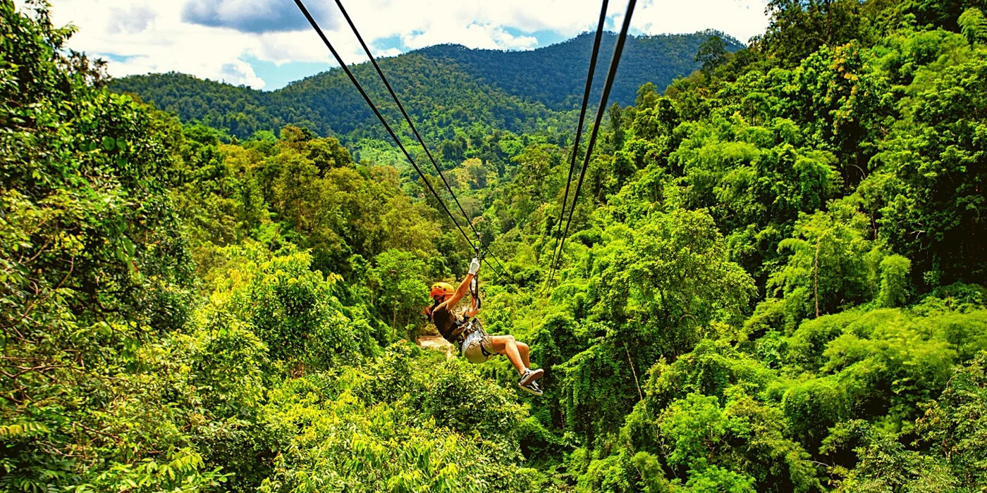 Rainforest canopy zip-lining