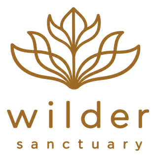 Wilder Sanctuary gold botanical logo