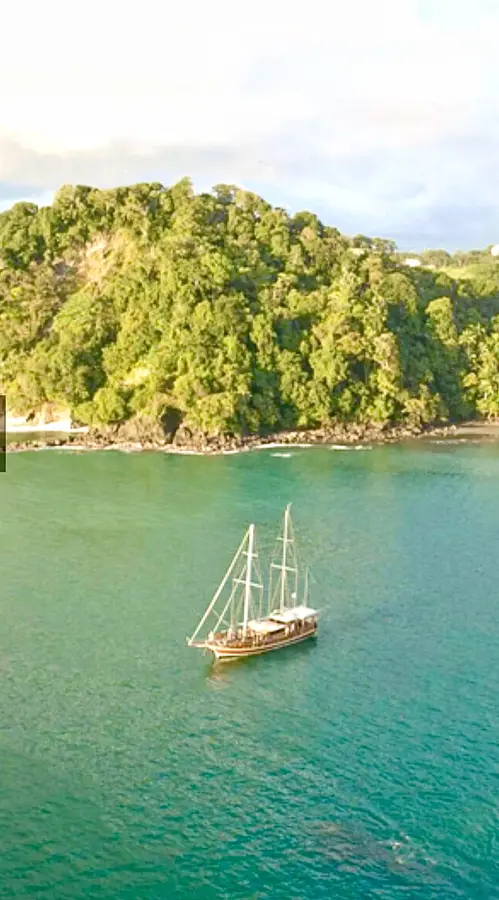 Sailing yacht anchored off the lush South Pacific coast