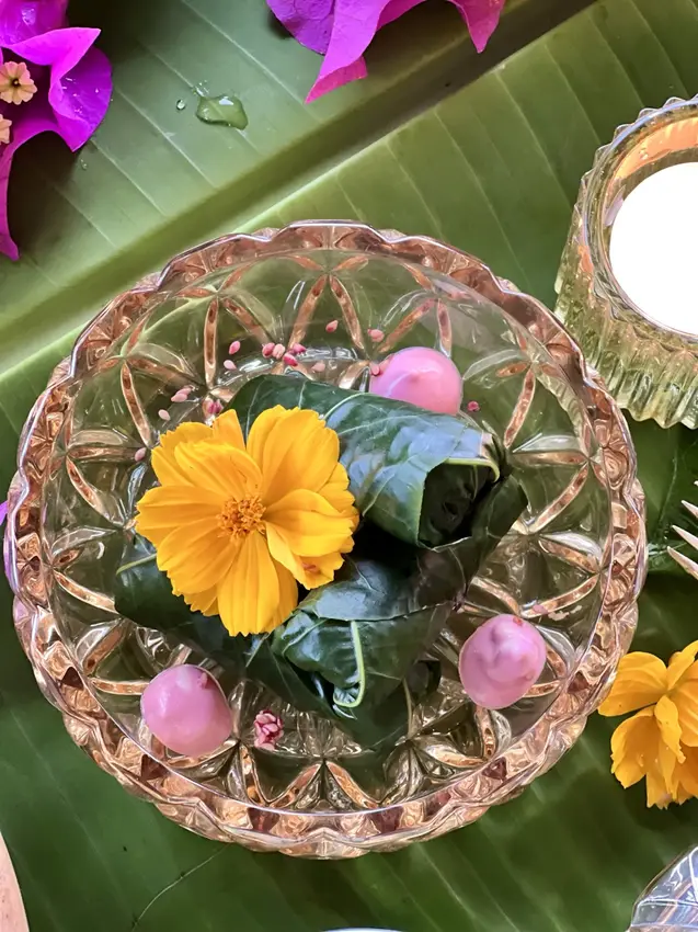 Whole-food plant-based cuisine and garden harvests