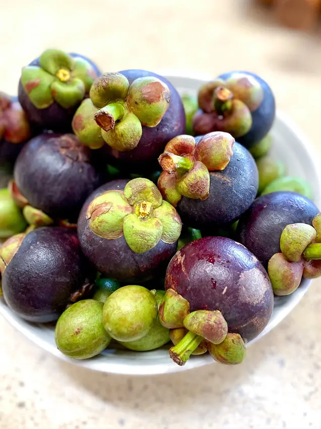 Whole-food plant-based cuisine and garden harvests