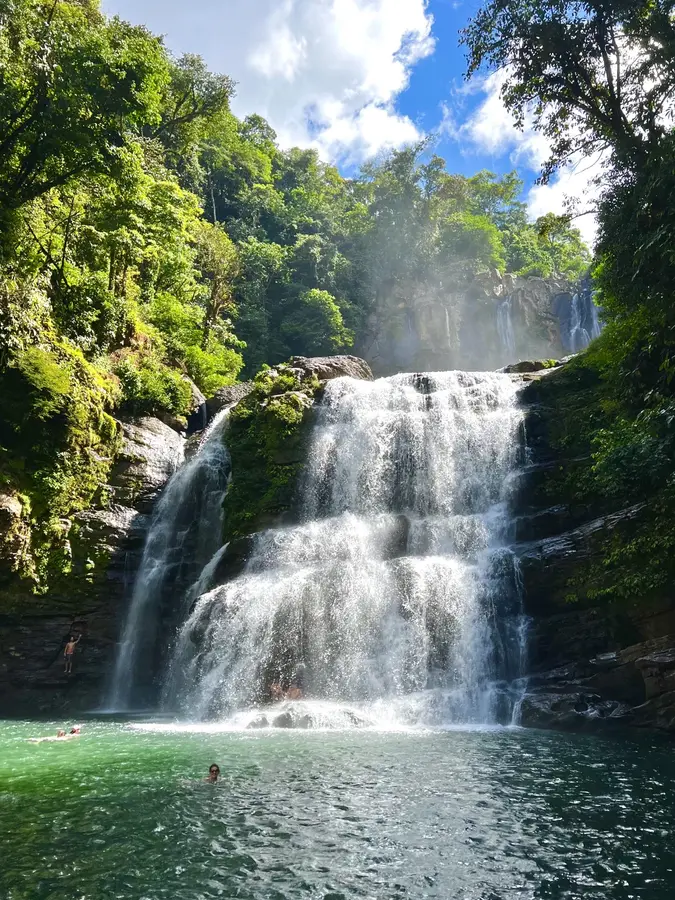 Waterfall surrounded by rainforest