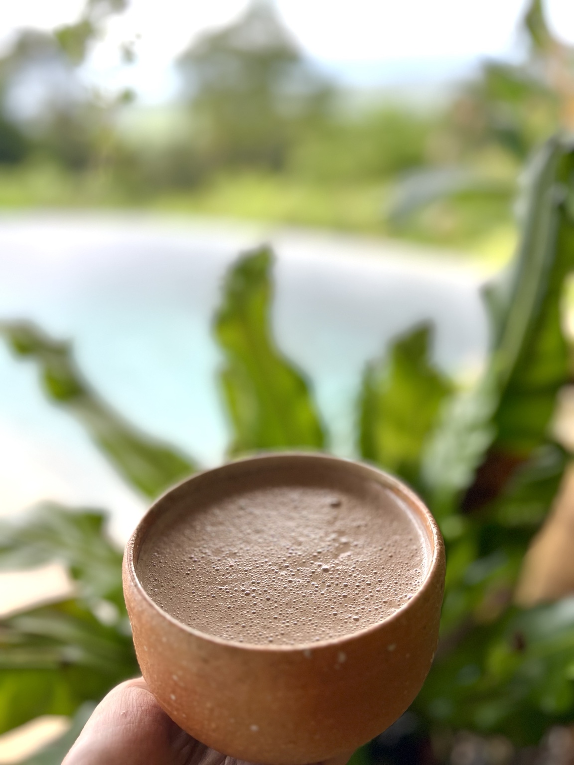 Original cacao cup photograph at Wilder Sanctuary
