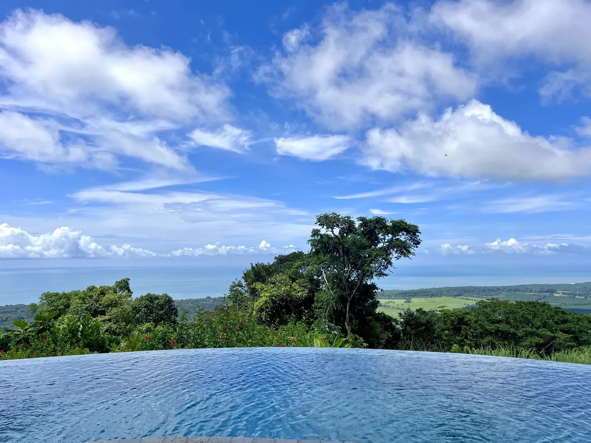 Wilder infinity pool with sweeping Pacific views