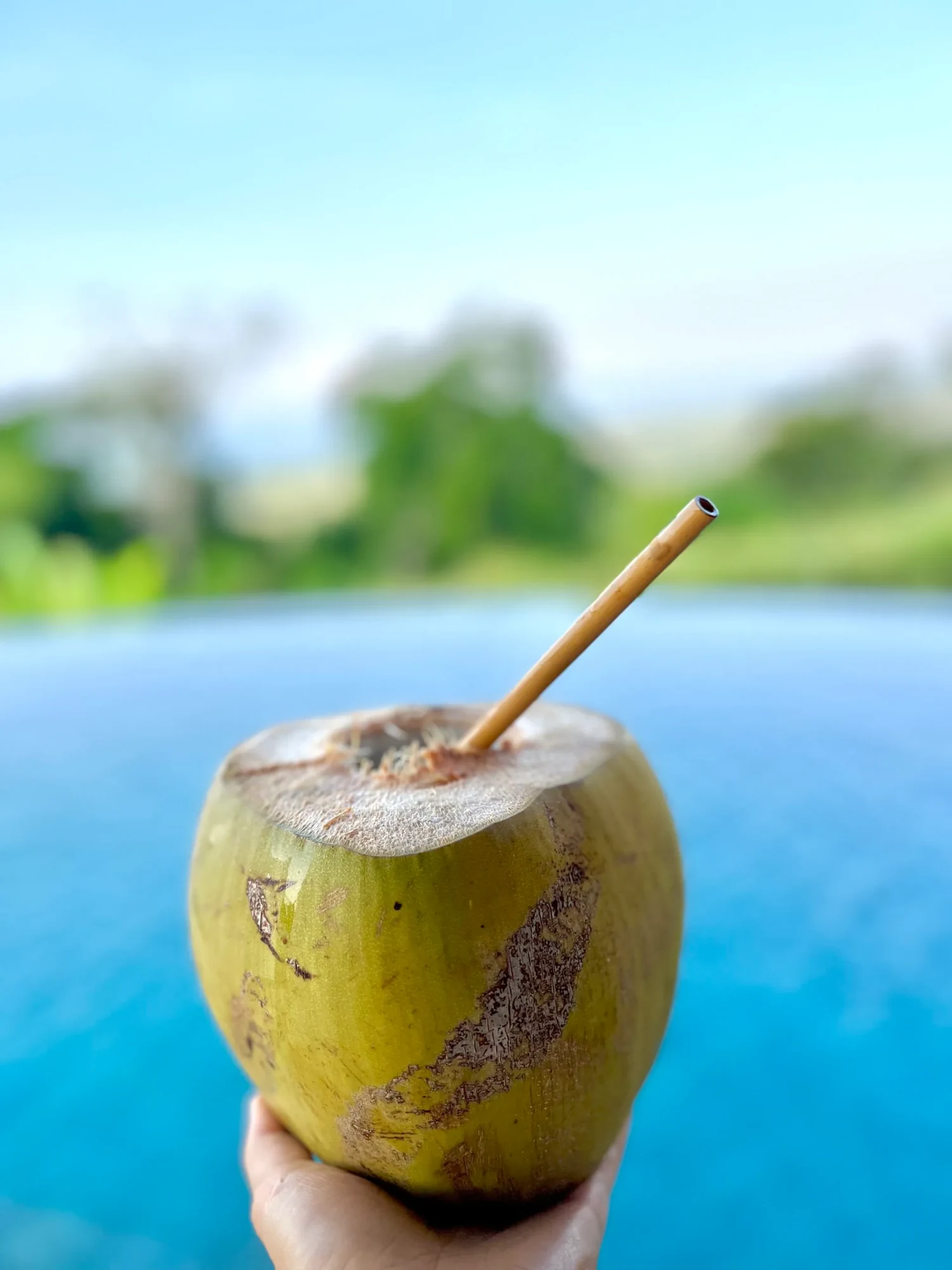 Fresh coconut beside Wilder’s infinity pool