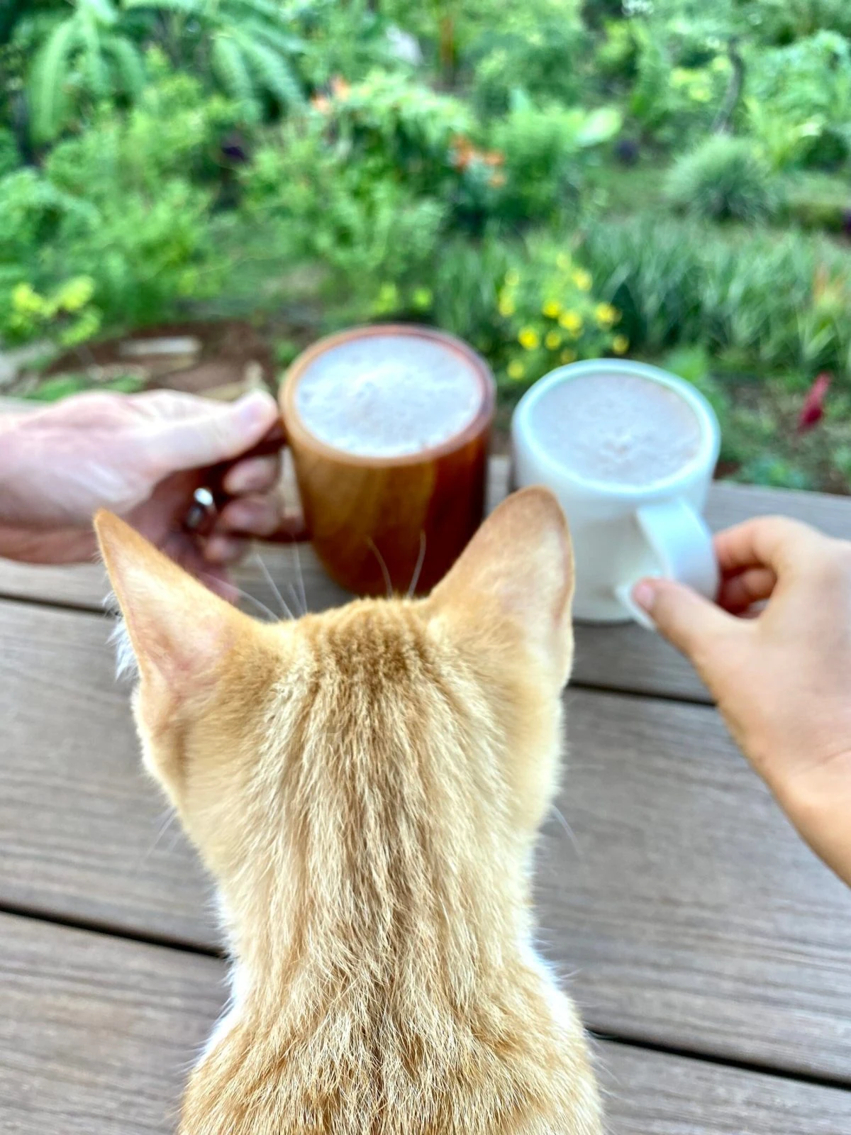 Slow morning drinks together at Wilder