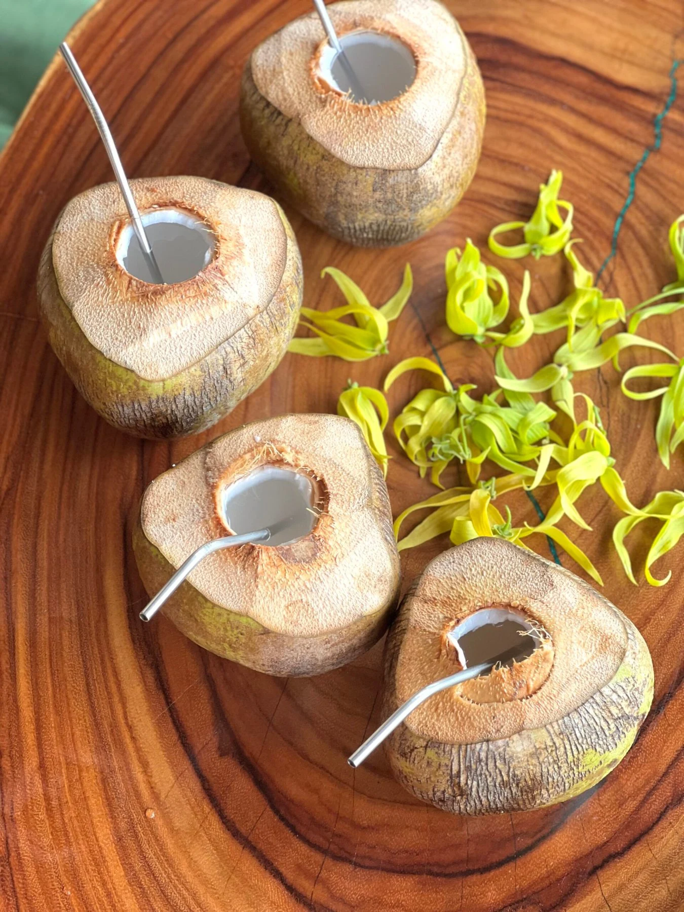 Fresh coconuts served at Wilder Sanctuary