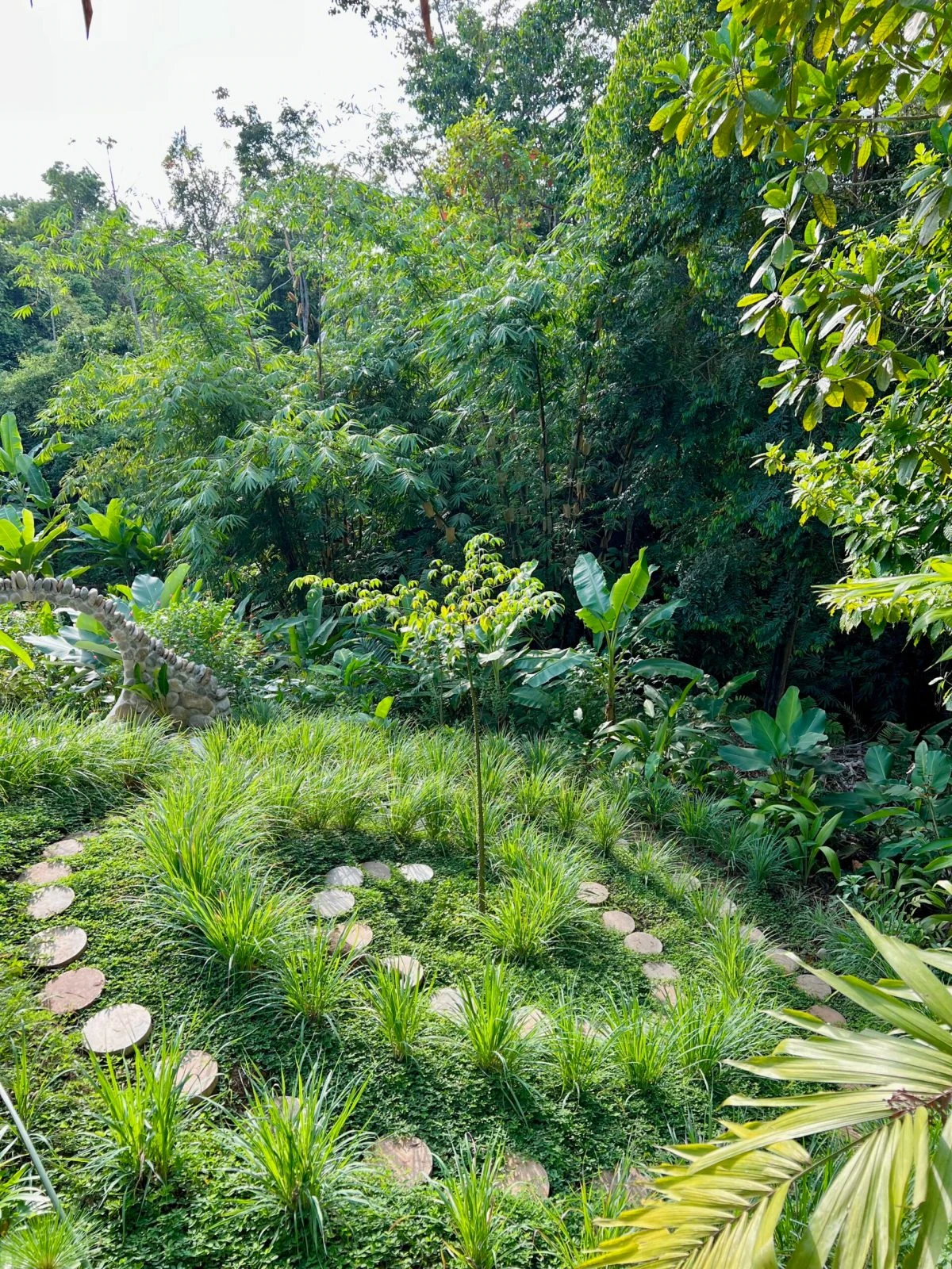 Wilder’s medicinal gardens and spiral paths