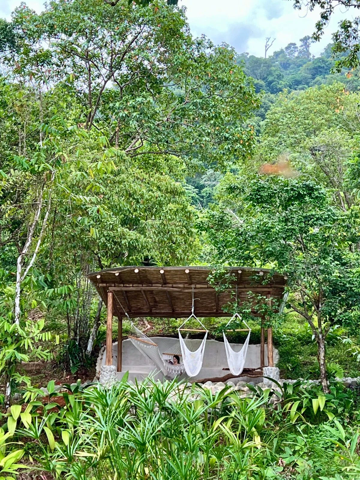 The rainforest hammock pavilion