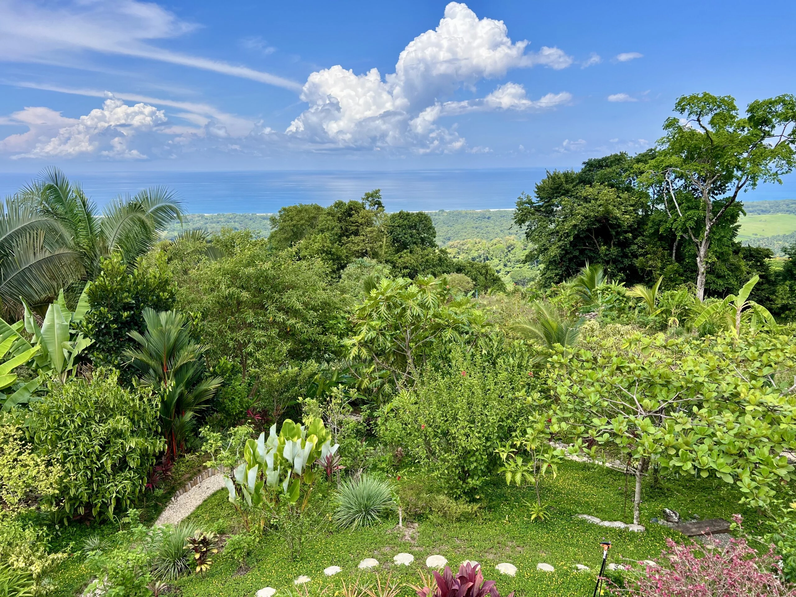 Tropical gardens, protected rainforest and the Pacific Ocean at Wilder