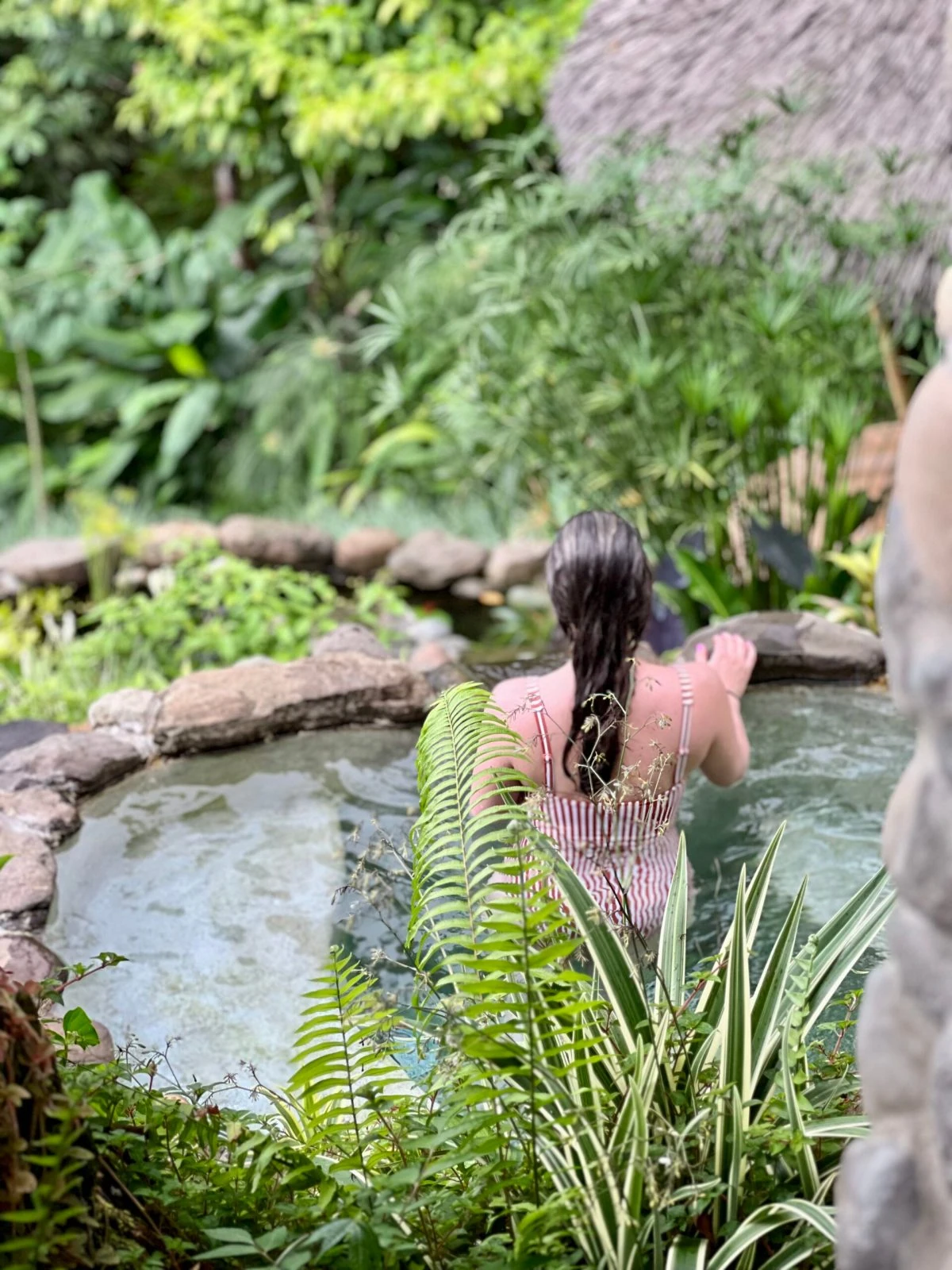 Rainforest spring plunge surrounded by tropical plants