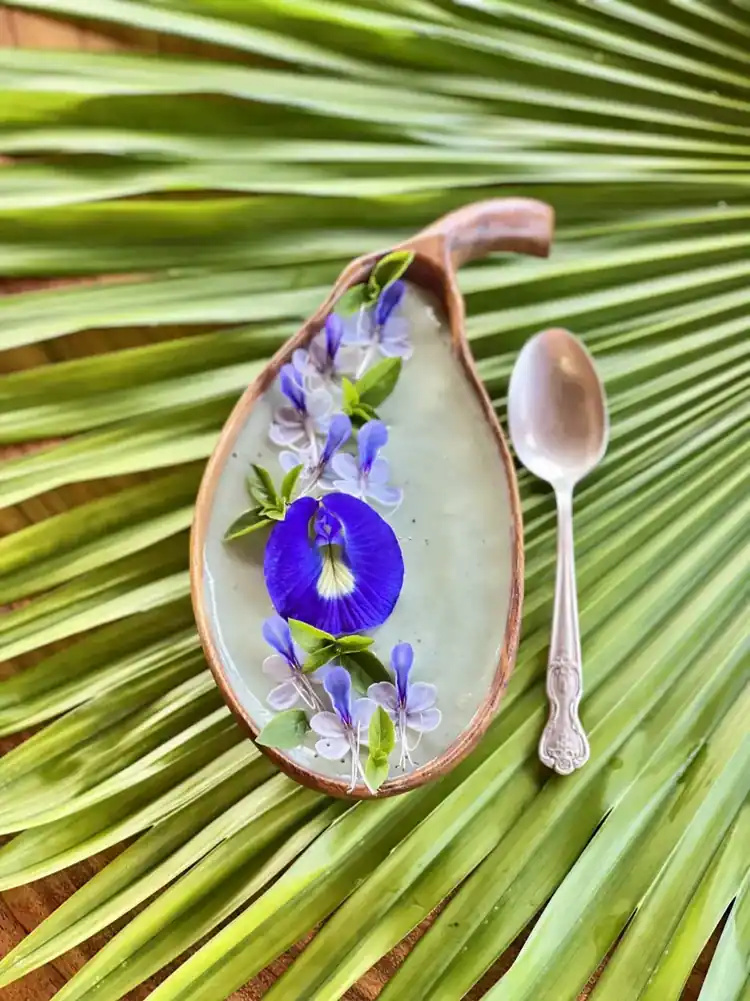 Butterfly-pea floral elixir and herbs grown at Wilder
