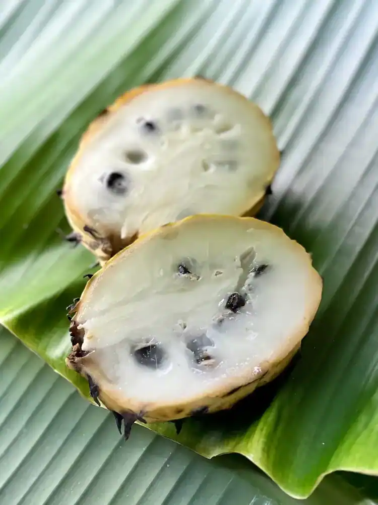 Tropical fruit cut open in the food forest