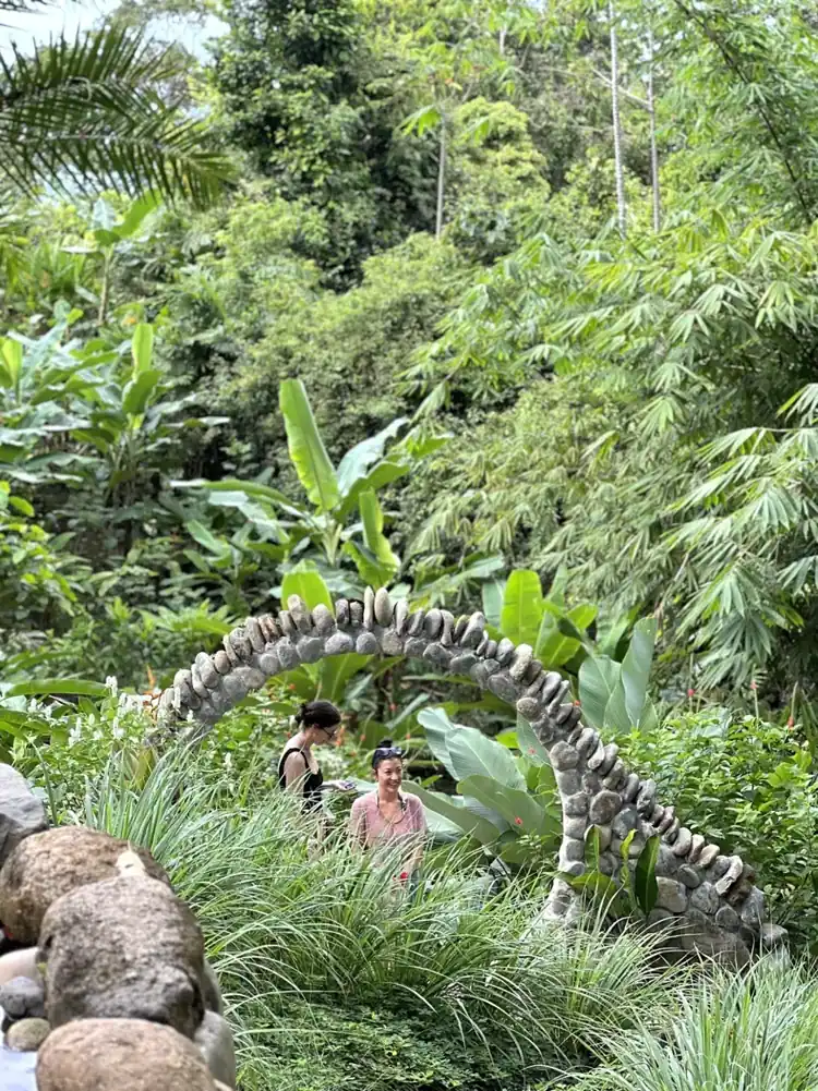 Lush garden arch in the rainforest