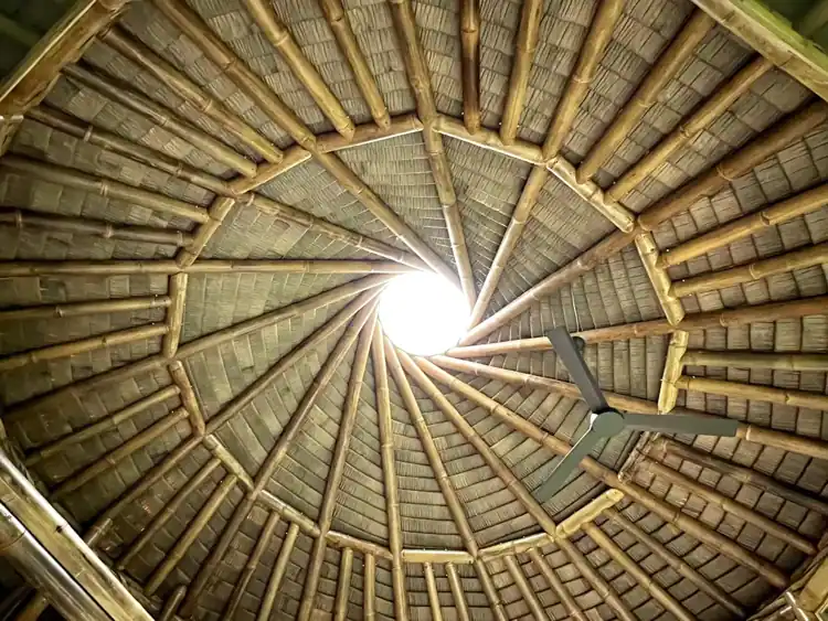 Bamboo roof structure from below
