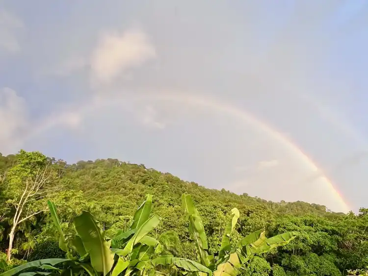 Rainbow arching over the protected rainforest at Wilder