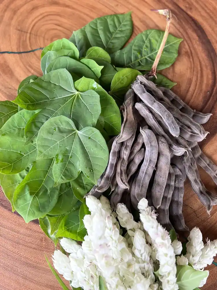 Freshly harvested leaves and vegetables