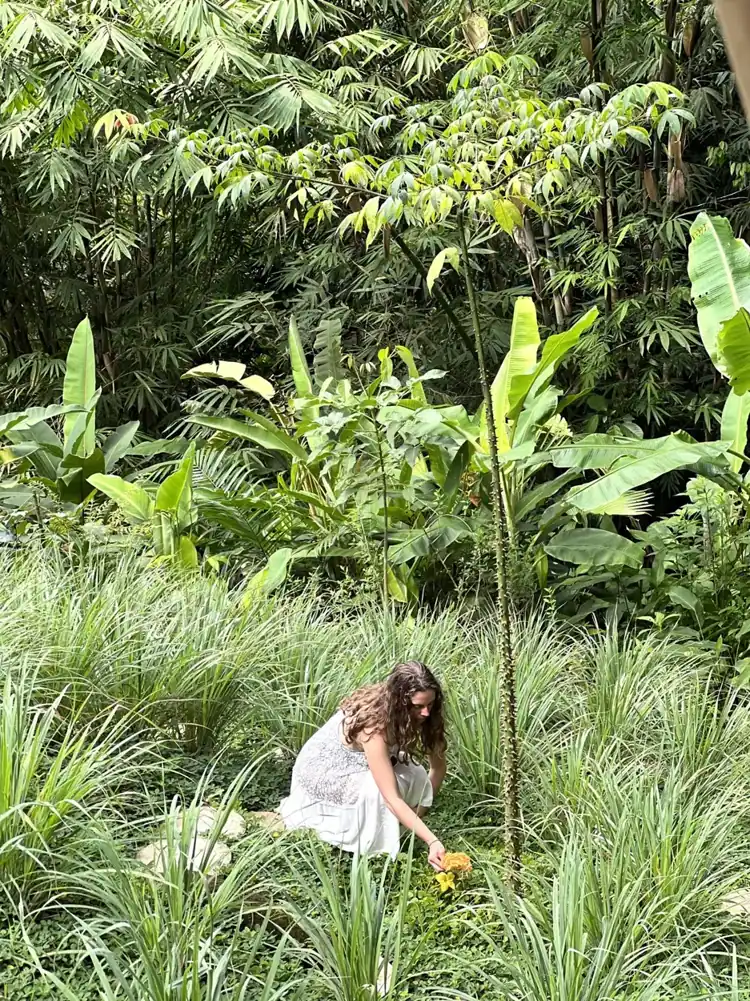 Lena tending a plant in the medicinal herb gardens