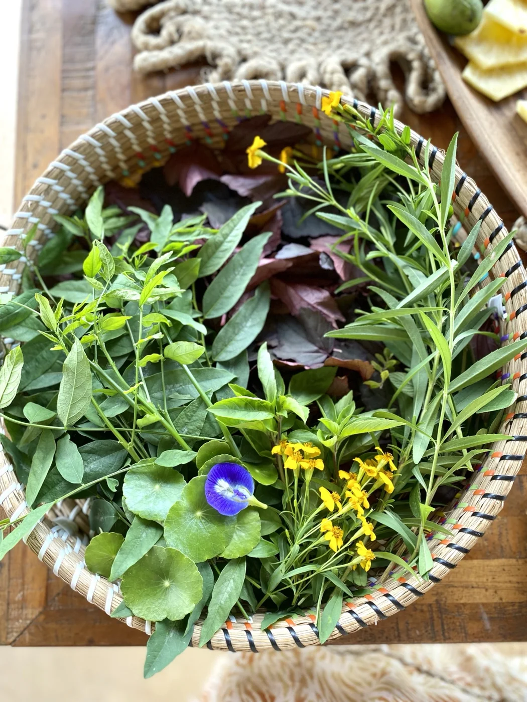 Fresh medicinal herbs and butterfly-pea flowers gathered from Wilder’s gardens