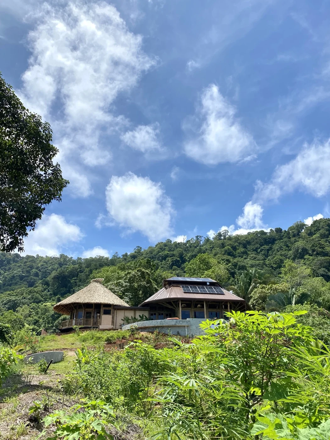 Bamboo Villa nestled in Wilder’s tropical gardens
